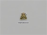 藏品(夜蛾619)的圖片